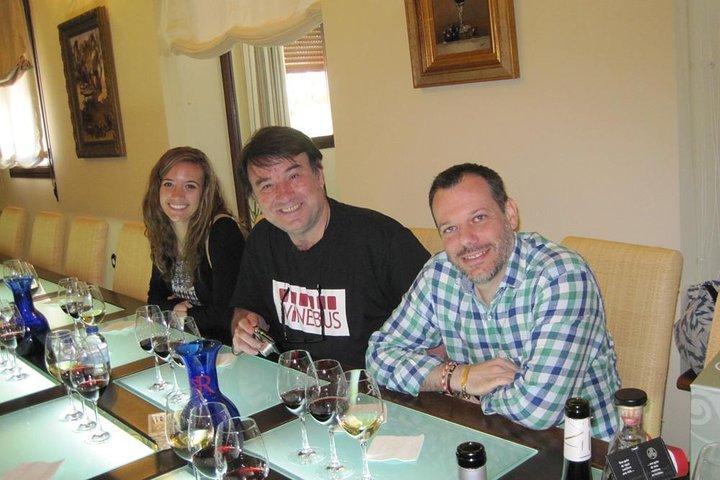 Windmolens van Don Quixote wijntour en proeverij vanuit Madrid