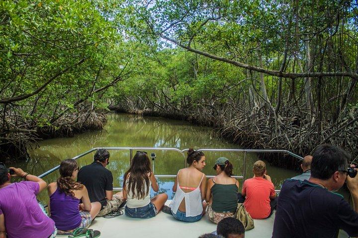 Haitises National Park with Paraiso Caño Hondo & Montaña Redonda