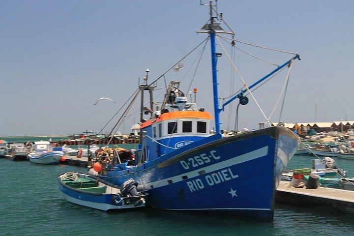 2 Stunden Bootstour Fischerroute in Ria Formosa