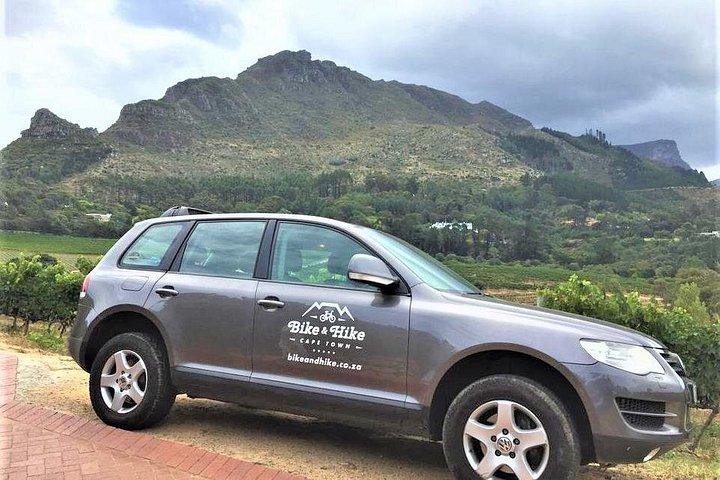 Constantia Hidden Gem Cycle Half Day - Private Tour