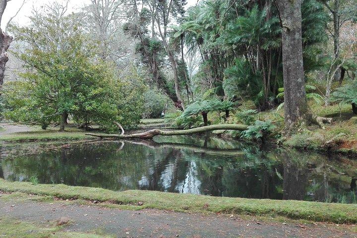 Furnas Lake Hotsprings und Gärten Van Tour