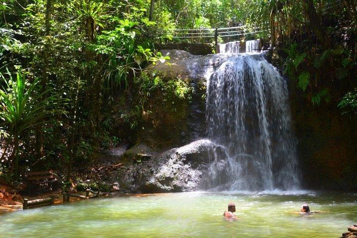 Tour privado de la naturaleza y la cascada de Suva