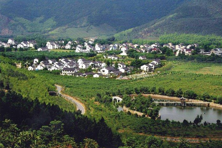 Tour privato di Suzhou Eco Village con pranzo e centro termale