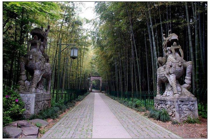 Half-Day Hangzhou Yunxi Bamboo Forest e Tea Plantation Experience