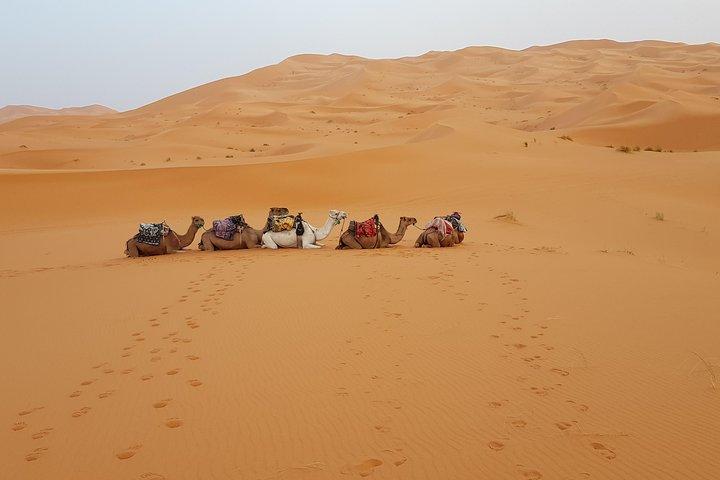 Tours por el desierto desde Marrakech