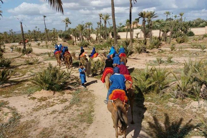 Kamelfärd Marrakech