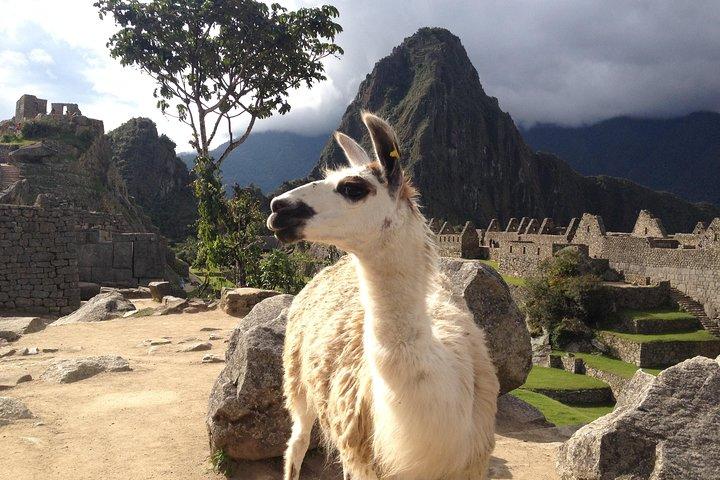 Circuit de 2 jours dans la vallée sacrée et Machu Picchu