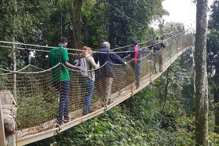 Três dias Nyungwe Canopy e Kivu Lake Adventure