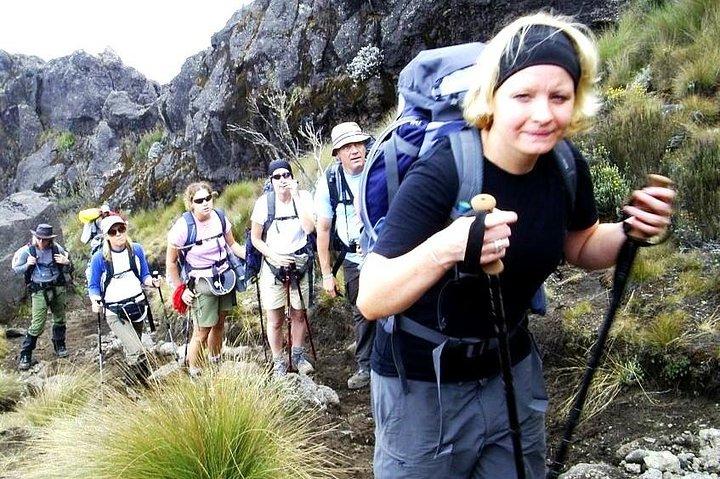 Lemosho-route 8 dagen 7 nachten / Kilimanjaro-klim