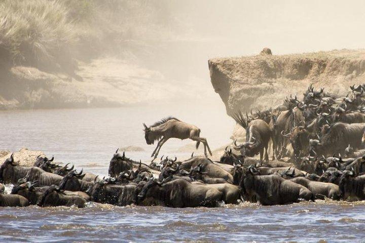 5 dagar 4 nätter Tarangire, Serengeti, Ngorongoro och Manyara Wildlife Safari