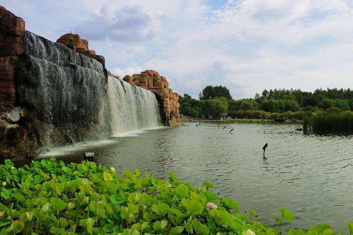 Lille gruppetur om sommeren: Harbin Sun Island, indendørs is og sneverden