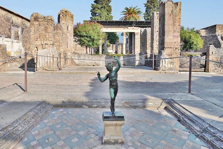 ローマからポンペイ遺跡とアマルフィ海岸へのホテルピックアップによるプライベートデイトリップ