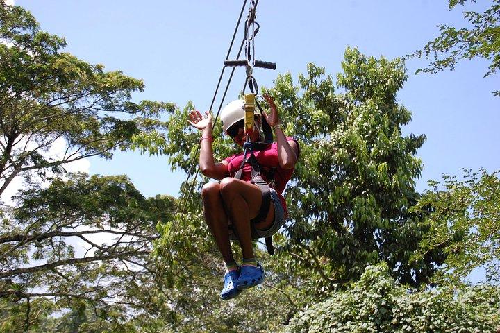Ziplining Dunn's River Falls Excursie vanuit Falmouth