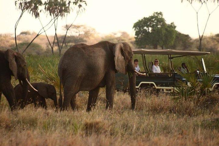 Amboseli Safari Spezial
