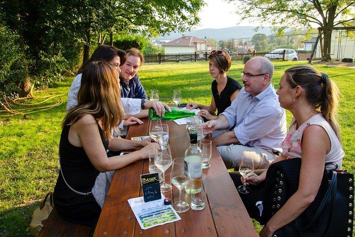 Tour del vino di mezza giornata vicino a Vienna con pasto e trasferimento