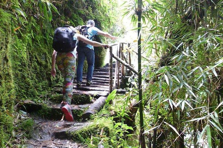 インカ トレイル アドベンチャー : マチュ ピチュへの 2 日間のハイキング