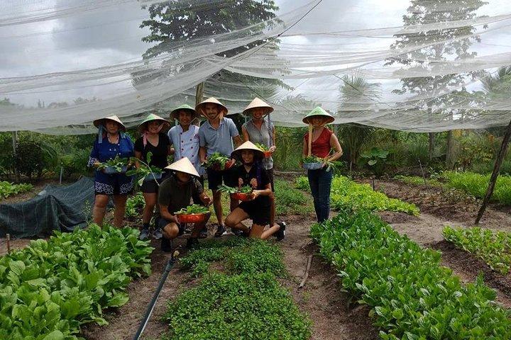Fazenda exclusiva para a aula de culinária de mesa em Saigon