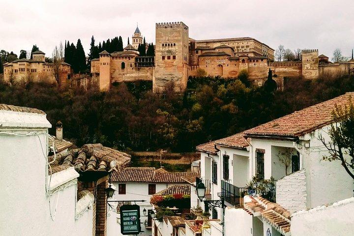 Visita a la Alhambra y al centro de Granada.