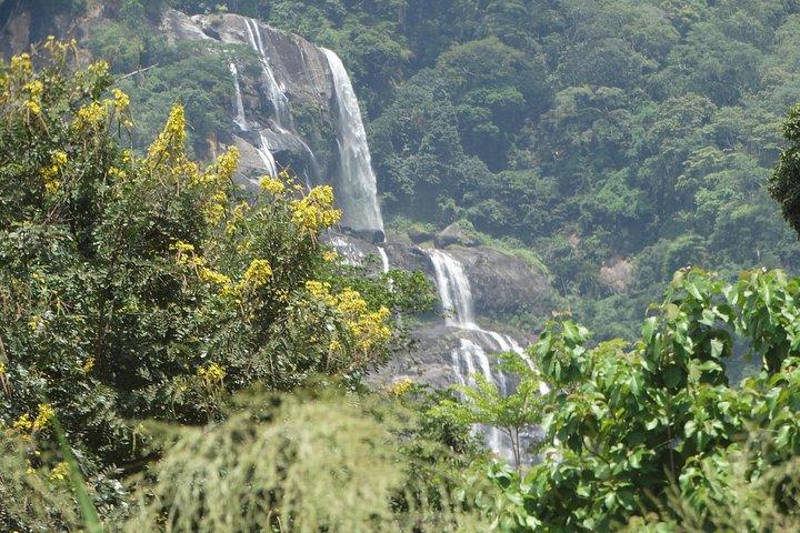 Safari di 6 giorni a Mikumi Np, Udzungwa Mountain NP e Nyerere NP (Selous GR)