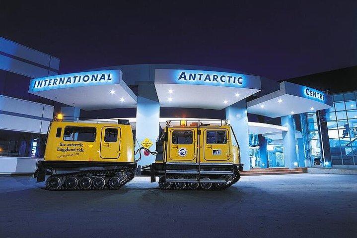 Lyttelton Shore Excursion: Christchurch Sightseeing with Antarctic Centre