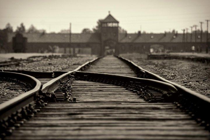 Auschwitz-Birkenau-tur från Krakow med privatförare