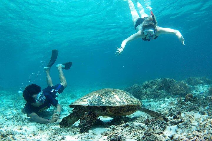 Schnorcheln mit Schildkröten auf Gili Trawangan
