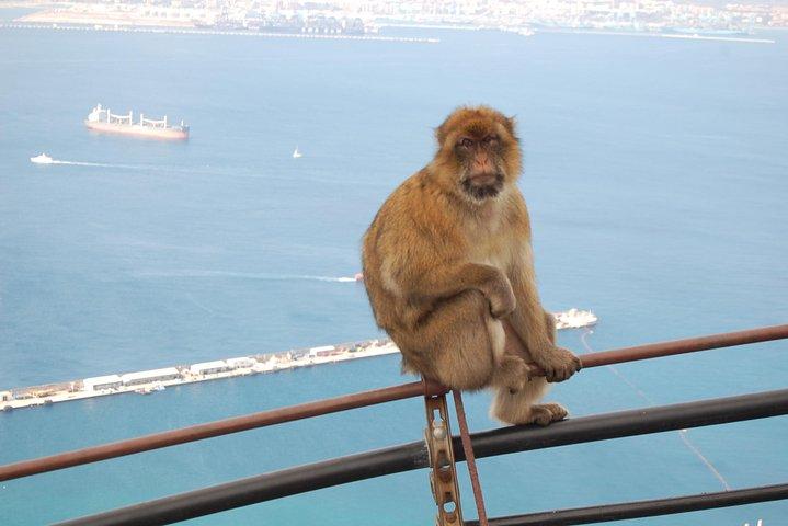 Dagtrip naar Gibraltar vanuit Sevilla