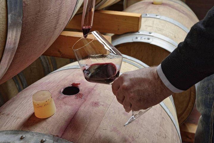 Excursão de Pompeia para Grupos Pequenos em Dia Inteiro saindo de Sorrento com Degustação de Vinhos Local