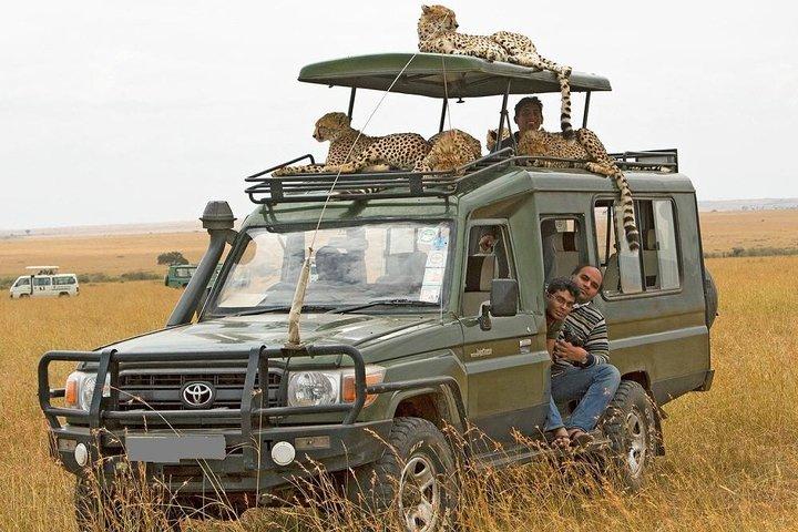 Transfert Masai Mara de Nairobi sur 4 X 4 Toyota Land-Cruiser - Départs quotidiens