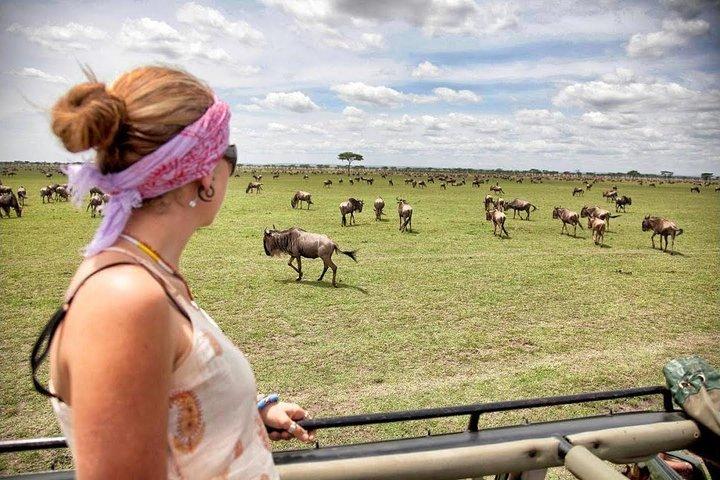 6 Tage Masai Mara Gnu-Migrationssafari-Urlaub