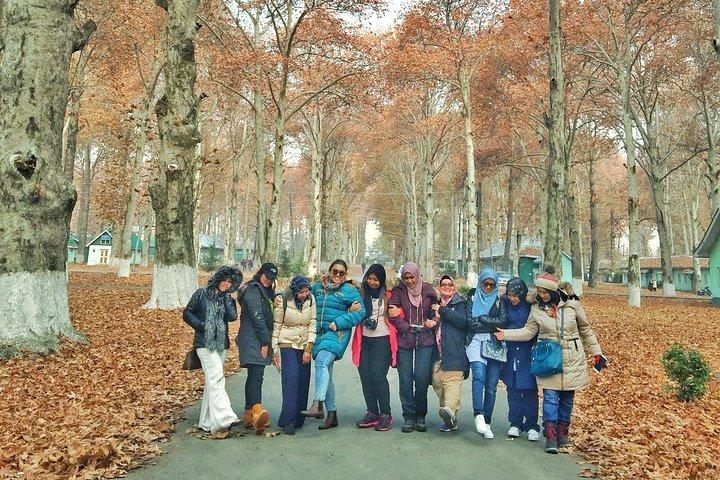 カシミール - 地上の楽園 (6 日間 5 泊)