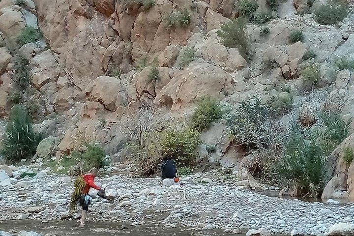 Shared day trip to Ourika