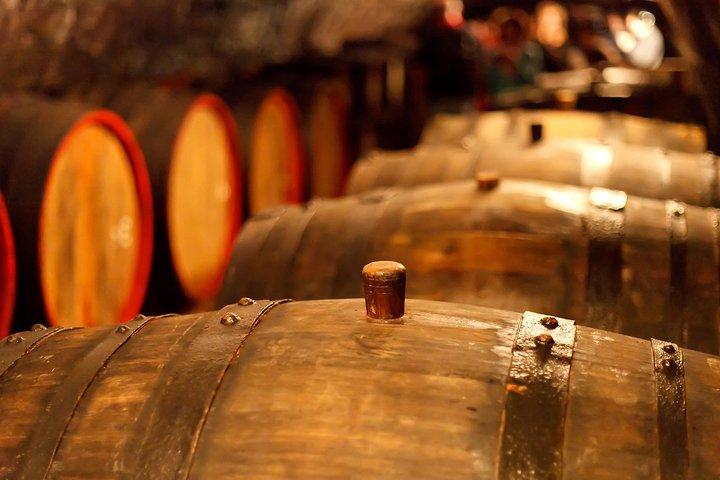 Esperienza di degustazione di vini nella regione vinicola di Etyek con un'auto privata con aria condizionata