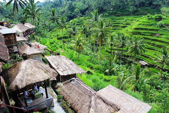 Charter Standard Vehicle with Driver at Bali- 5 Hours Usage