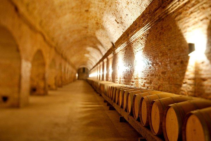 Traditional Wine Tour in Viña Cousiño Macul Official English