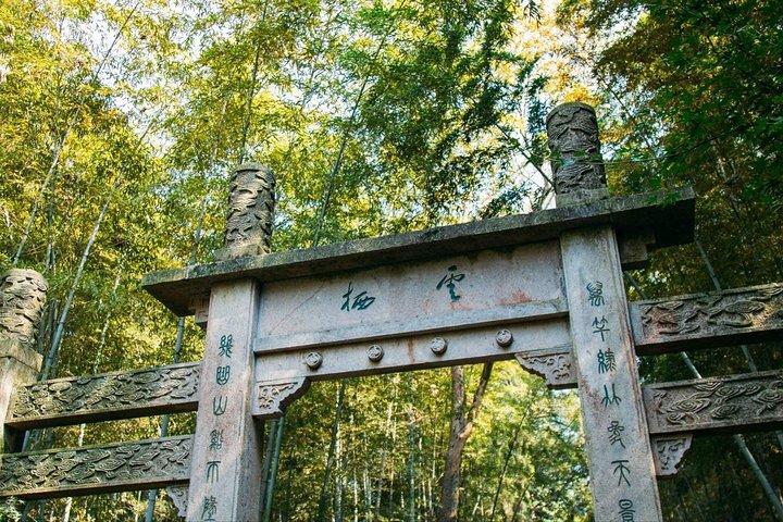 Half-Day Hangzhou Yunxi Bamboo Forest e Tea Plantation Experience