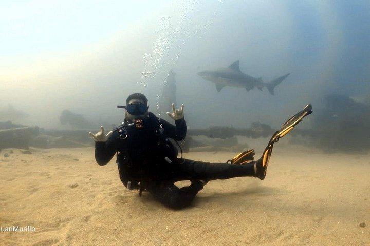 Scuba Diving Adventure in Cabo Pulmo