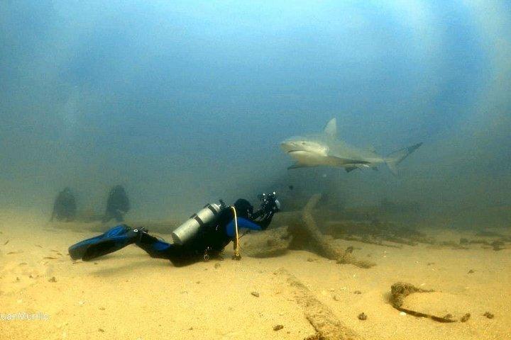 Scuba Diving Adventure in Cabo Pulmo