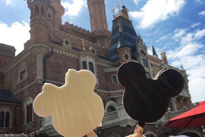 上海ディズニーランドとシティーホテルを専用の車で移動