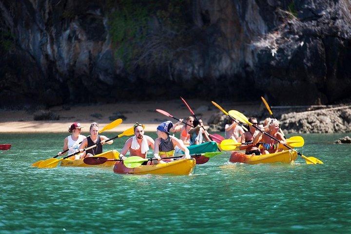 コタラベング島の海の洞窟カヤックでランタマングローブツアー