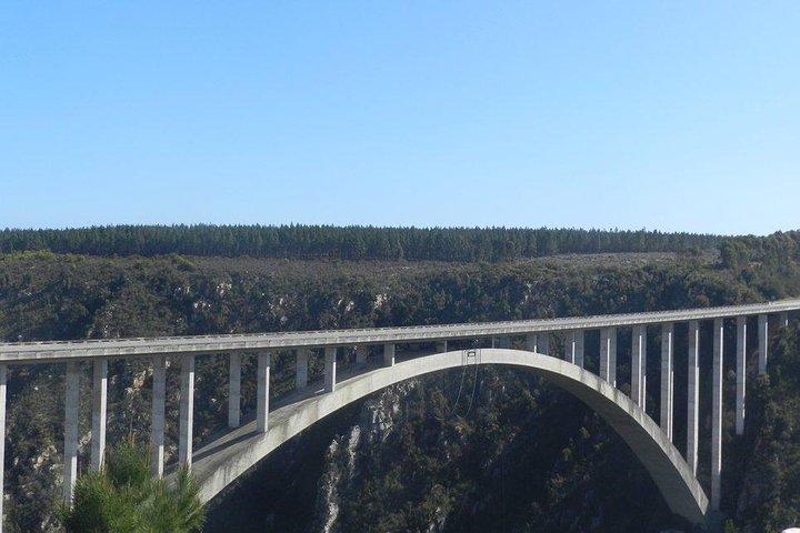 Plaisir et aventure: Surfer sur la célèbre Garden Route - FD10