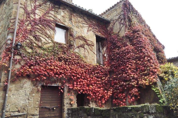 Best Of Civitavecchia Shore Tour: Orvieto & Civita Di Bagnoregio Tour
