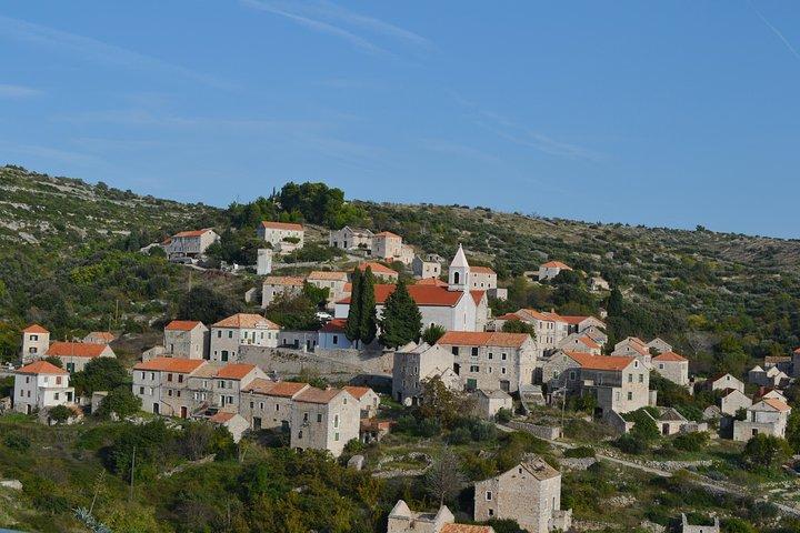 Privat Hvar-ø-tur og olivenoliesmagning