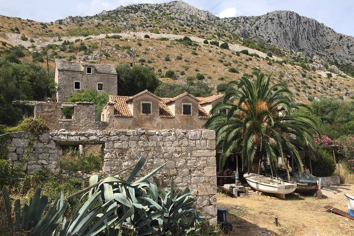 Privat Hvar-ø-tur og olivenoliesmagning