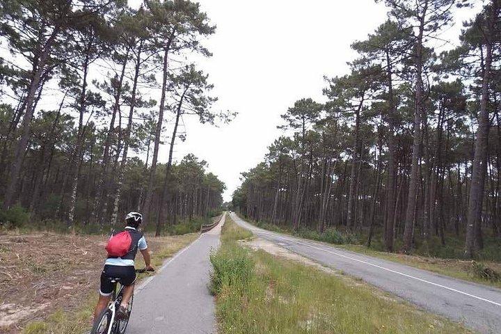 ポルトからガイアを望む：プライベート自転車ツアー #DuckSideOfPorto