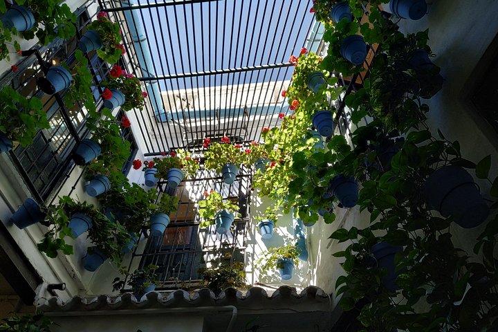 TOUR PRIVATO DI MALAGA - di OhMyGoodGuide