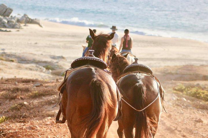 Balade à cheval à Cabo San Lucas
