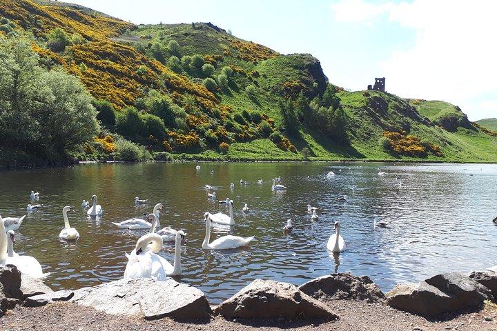 Tour in bici o e-bike da cielo a mare di Edimburgo con pick-up