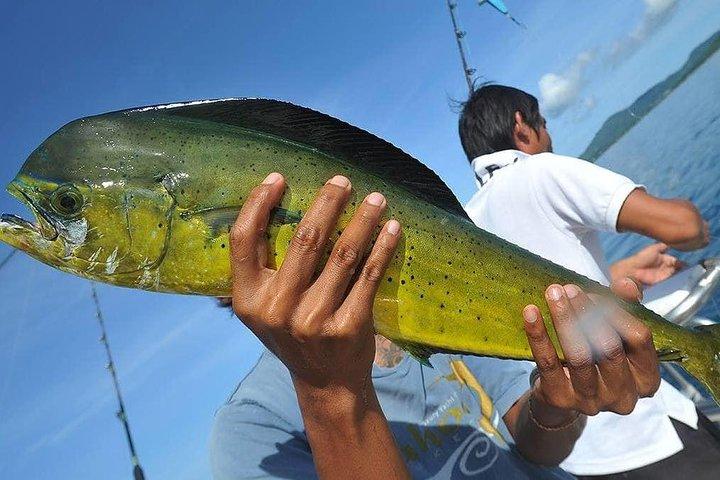 Excursión de caza mayor de día completo