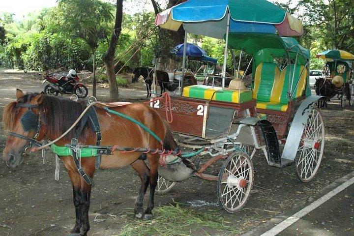 Oplev den gamle by Wiang Kum Kam med Wat Chiang Man besøg